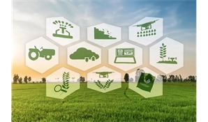 信息智慧化農業